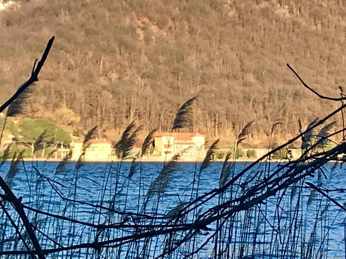 B&B Notte Sul Lago Gozzano Eksteriør bilde